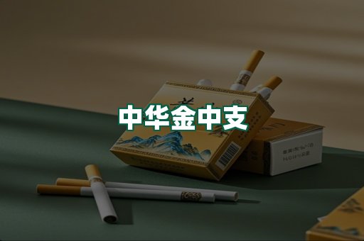中华金中支